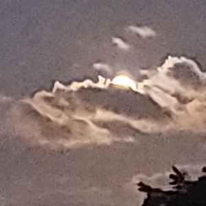 Meet your Posher, Lin lin